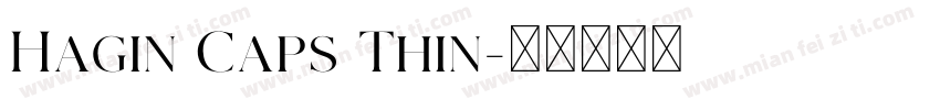 Hagin Caps Thin字体转换